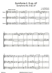 Beethoven: Symfonie č.5 op.67 / trio příčných fléten
