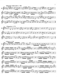 20 ETUDES - SOPRAANBLOKFLUIT / 20 etud pro sopránovou zobcovou flétnu