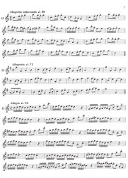 25 ETUDES - ALTBLOKFLUIT / 25 etud pro altovou zobcovou flétnu