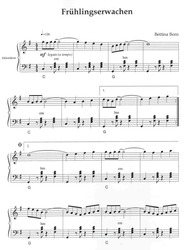 AKKORDEONISSIMO 1 (musette/tango/jazz) + CD