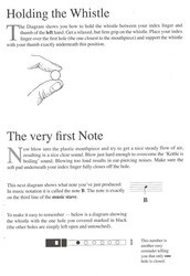 An Irish Whistle Book / škola hry na irskou flétnu pro úplné začátečníky