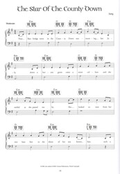 Musical Reflections of Ireland