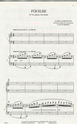 FÜR ELISE ( Pro Elišku ) by Ludwig van Beethoven / 2 klavíry 4 ruce