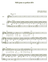 RADIO ALBUM 7 - Marie Rottrová