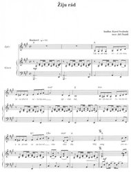 RADIO ALBUM 10 - Písně Karla Svobody a Jiřího Štaidla