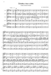Prozpěvují anjelové - vánoční písně a koledy pro souborovou hru (4 hlasy a klavír) / partitura a party