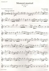 200 Years of Clarinet Music: THE HIGH ROMANTIC ERA / klarinet a klavír