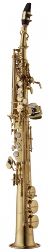 YANAGISAWA Bb - soprán saxofon Artist Serie S - 991