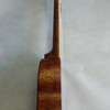 Audiana ukulele sopránové - žíhaný korek, bílý hmatník