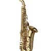 YANAGISAWA A-WO10 - Es alt saxofon Elite