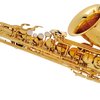 Buffet Crampon 100 SERIES alt saxofon