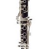 Buffet Crampon RC B klarinet 18/6 Green LinE s pouzdrem