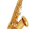 Buffet Crampon Bb alt saxofon BC8102-1-0 - 100 Series