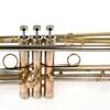 LOTUS B trubka, SILVER FLARE