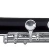 GEWA music Roy Benson - piccolo flétna PC-502 Student Pro Series
