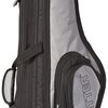 Ritter Gigbag for Tenor Sax