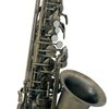 GEWA music Roy Benson Eb-Alt Saxophon AS-202 A Student Series