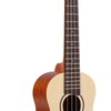 Ashton UKE 200 SP ukulele sopránové