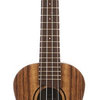 Ashton Ukulele sopránové UKE 500 SBW