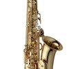 YANAGISAWA A-WO1 - Es alt saxofon Professional
