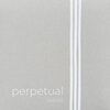 Pirastro Perpetual Edition - struna C pro violoncello
