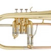 Arnolds & Sons AFH-655, Yellow brass