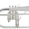 Arnolds & Sons AFH-655, Silver-plated