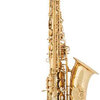 A&S alt saxofon AAS-110YG