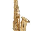 Selmer Axos - alt saxofon