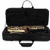 Buffet Crampon PRODIGE alt saxofon