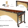 STUDIO 49 Marimba Concert RXMV 4300