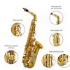 JUPITER STELLAR alt saxofon s obalem