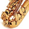 Selmer Supreme Gold Lacquer - alt saxofon, zlatolak