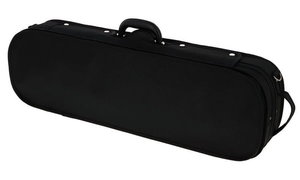 Roth & Junius RJVC Violin Case Giocoso 4/4