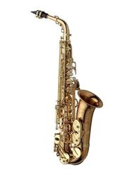 YANAGISAWA A-WO20 - Es alt saxofon Elite