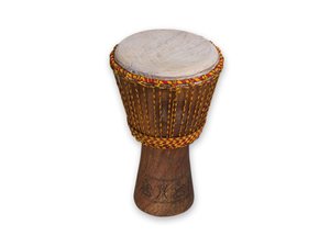 STUDIO 49 Djembe ADJ 12