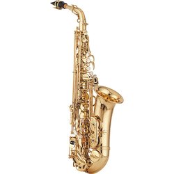 YANAGISAWA Es - Alt saxofon Artist Serie A - 991