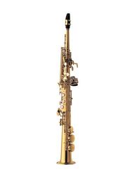 YANAGISAWA S-WO1 - B soprán saxofon Professional