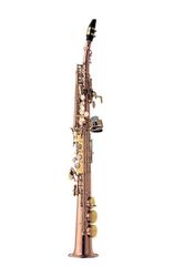 YANAGISAWA S-WO20 - B soprán saxofon Elite