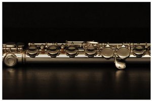 CLARINA ARTE CFL 111SL - příčná flétna, zavřené klapky