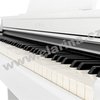 Kawai CN25 W - Bílý mat