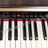 Kawai digitální piano CN35 R - Palisnadr