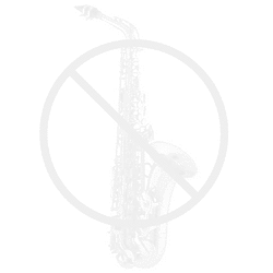 Buffet Crampon birne für Bb klarinette model E12 FRANCE - 64 mm